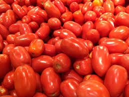 Fresh Tomatoes
